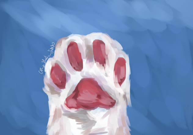 ^ Meow ^