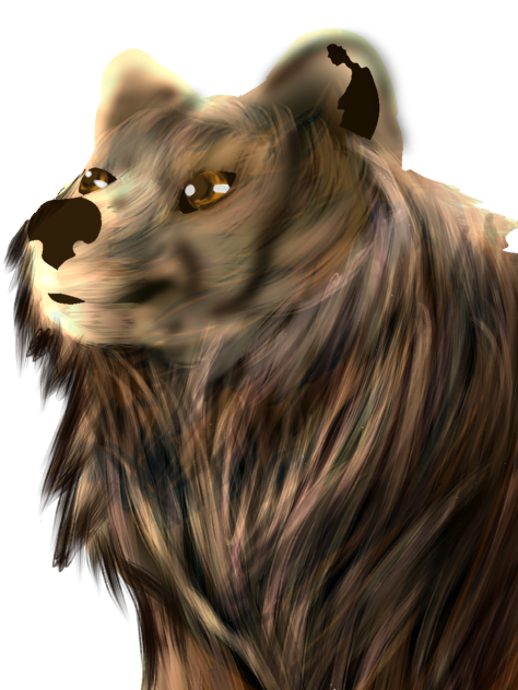 Bear - ibisPaint