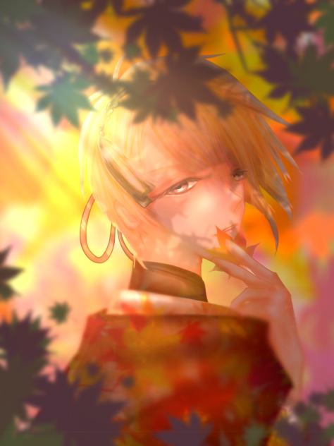 紅葉の錦
