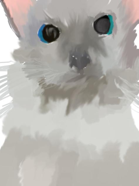reviving my dead cat