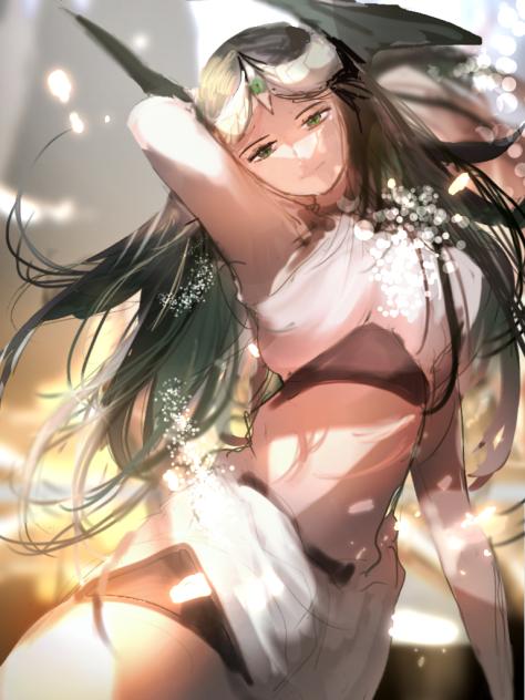 愚かなドラセナ