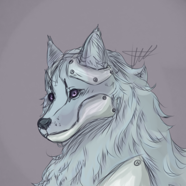 cybodoggo