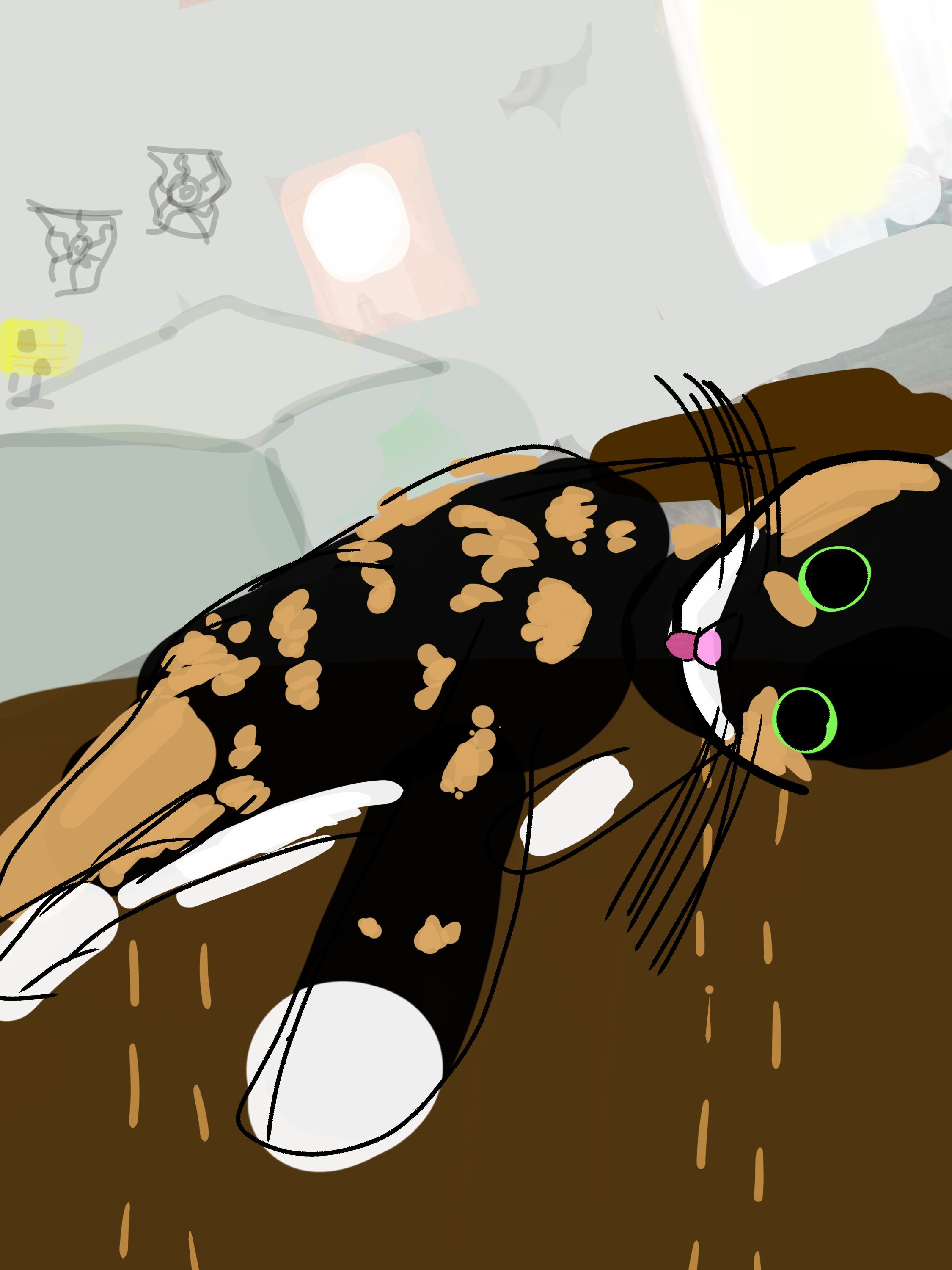 my cat Pana - ibisPaint