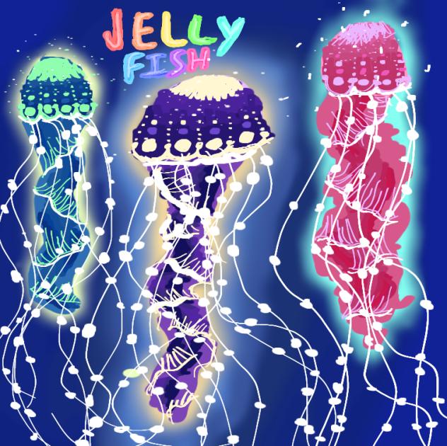 jellyfish