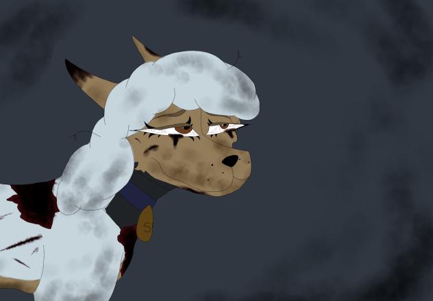 𝐒𝐡𝐚