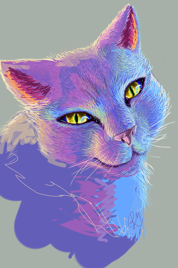 cat - ibisPaint