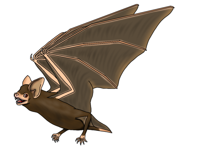 Manananggal Bat render