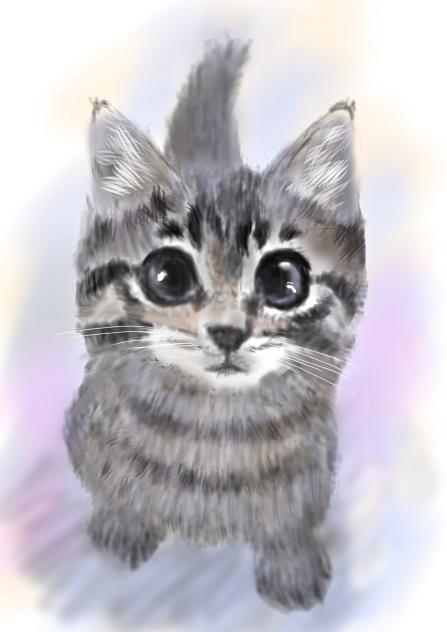 子猫4