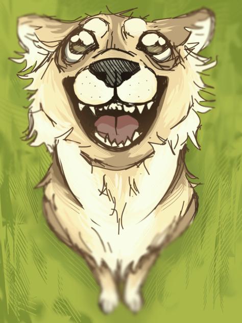 Pupper ✨
