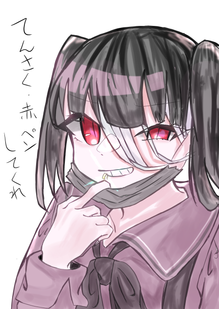 赤ペン希望します