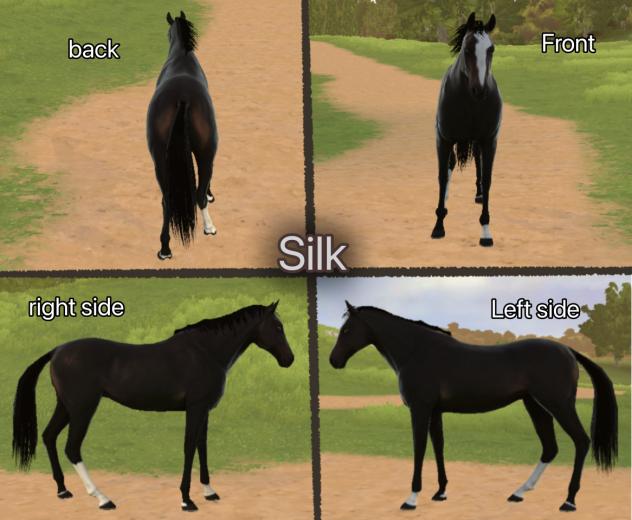 Silk!