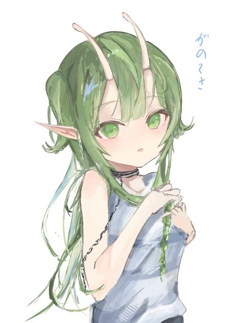 がのーさ