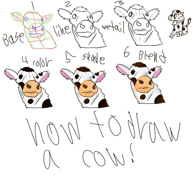 How to draw a cow