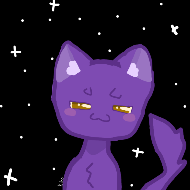 Night kitten