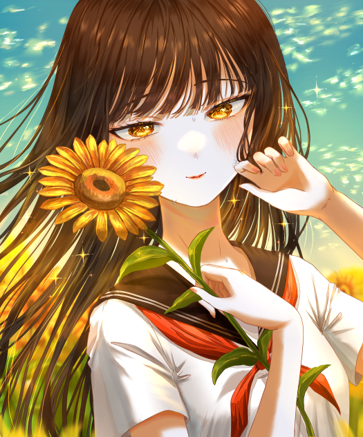 向日葵