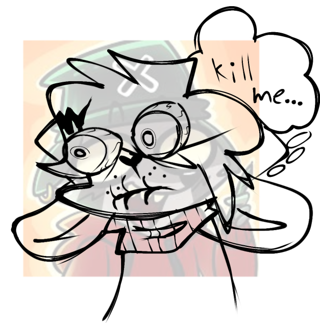 i never should have watched rocky racoon