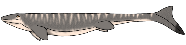 Clidastes propython render