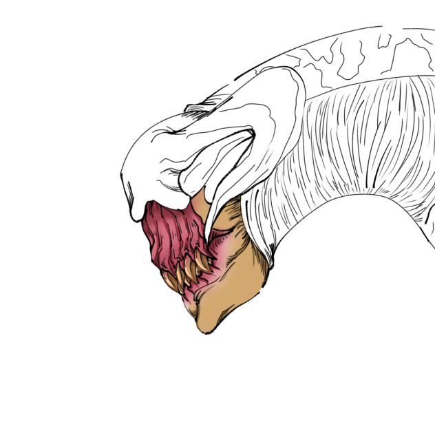 Ok, so I dreamt I was this thing
