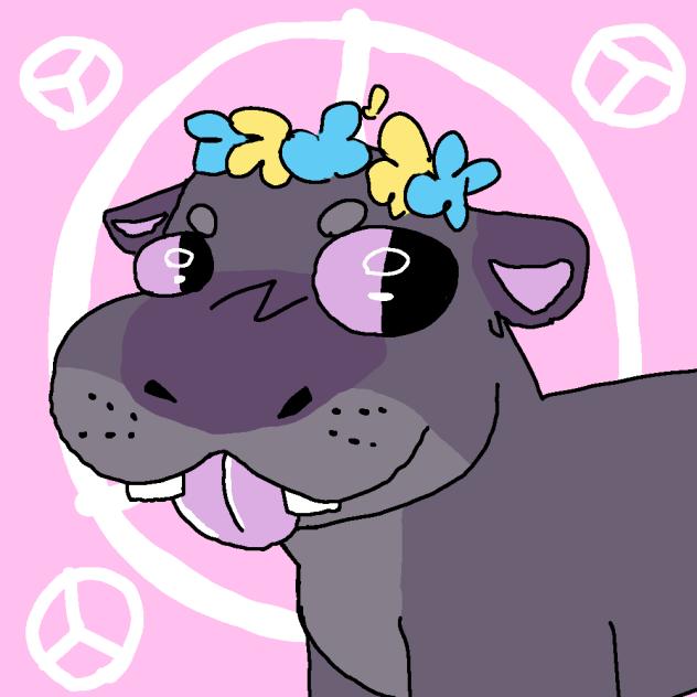 Hippie hippo