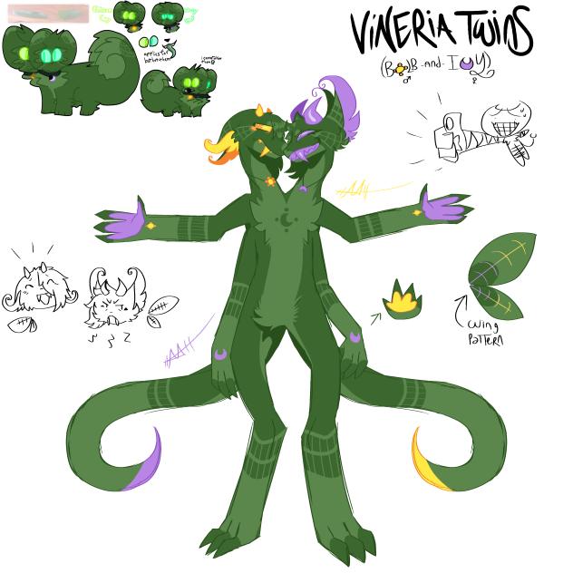 Vineria Twins