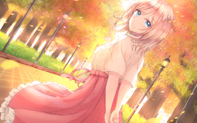 秋口に舞う紅葉のかけら