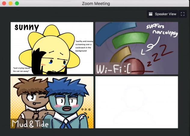 Zoom meeting collab