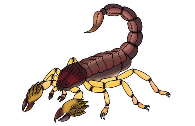Serket