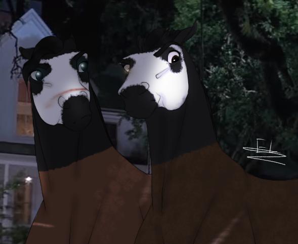 ~ Partners In Crime ~