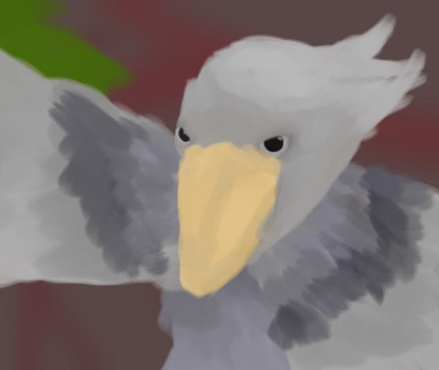 ハシビロコウ