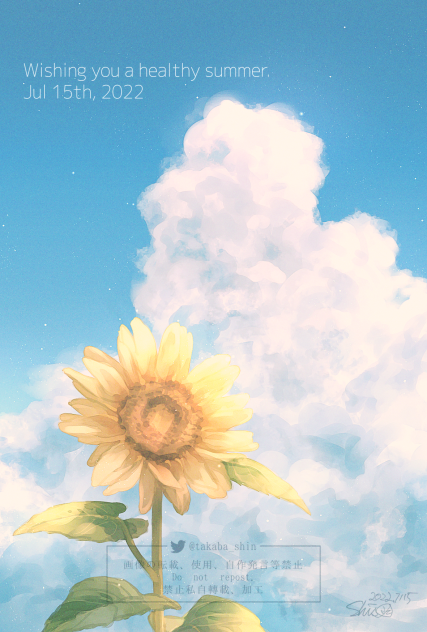🌻☁︎