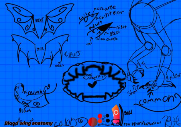Bloodwing anatomy