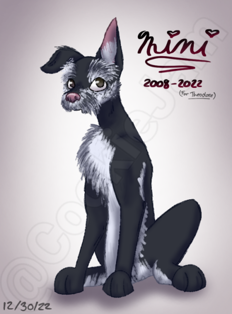 Gift For Theodore✨