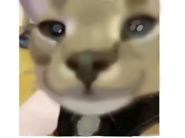 HECKER CAT from Beluga YT