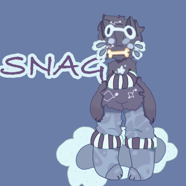 SNAG BOY