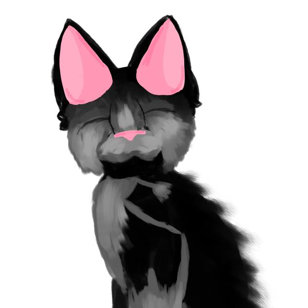 failed drawing of luna.