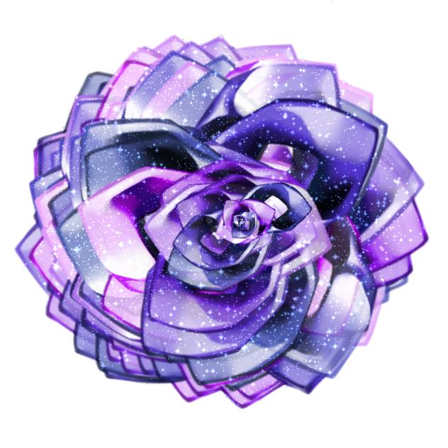 Purple rose
