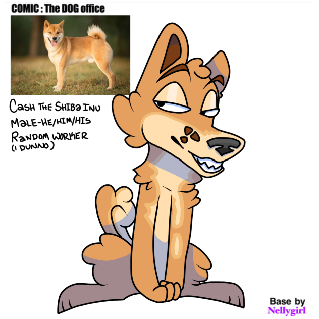 Cash the Shiba Inu!