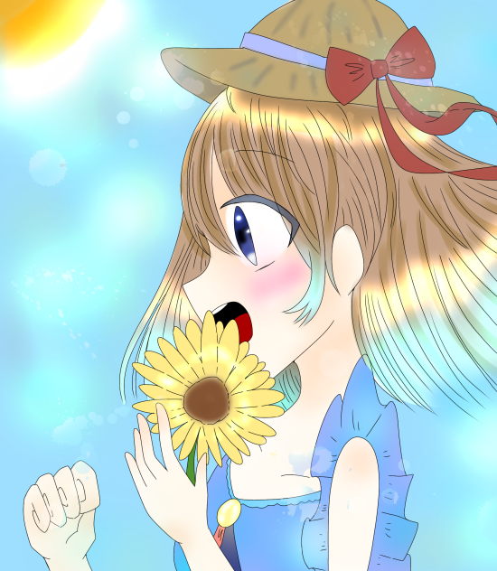 🌻向日葵と夏🌻