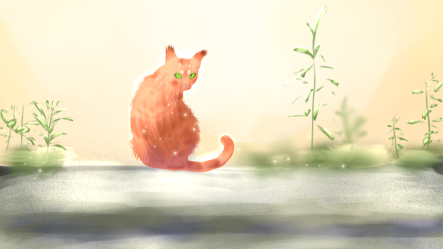 Stray