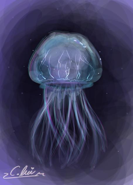 Jellyfish~