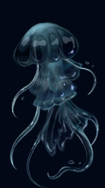 jellyfish