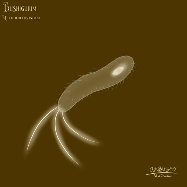 Bushiguium bacteria
