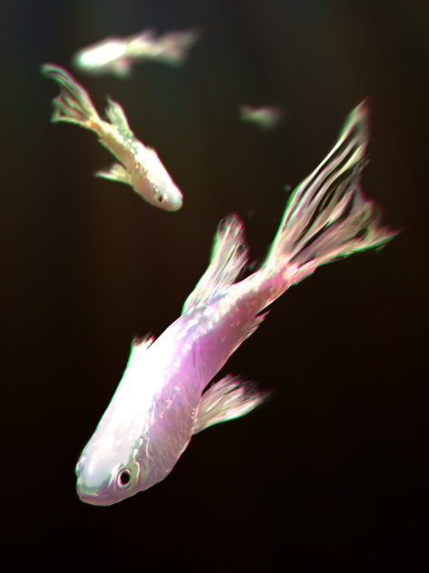 鑑賞