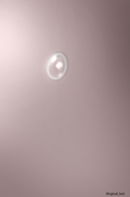 waterdrop