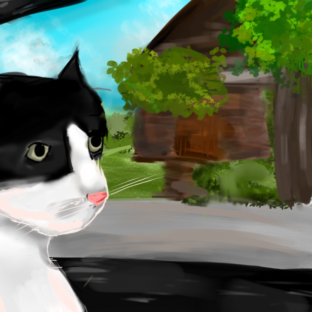 cat in a car
