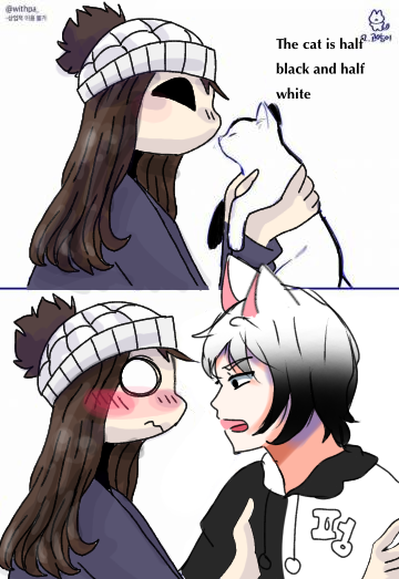 Human cat collab ig