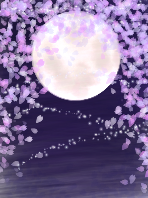 夜桜-Night Cherry Blossoms-
