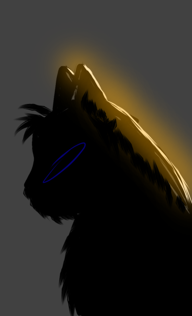 black cat