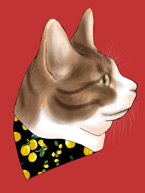 三毛猫　CAT