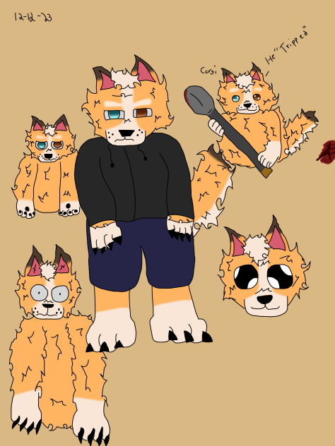 Corgi